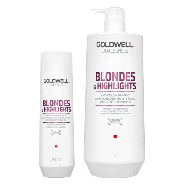 Шампунь против желтизны для осветленных и мелированных волос - Goldwell DualSenses Blondes & Highlights Anti-Brassiness Shampoo