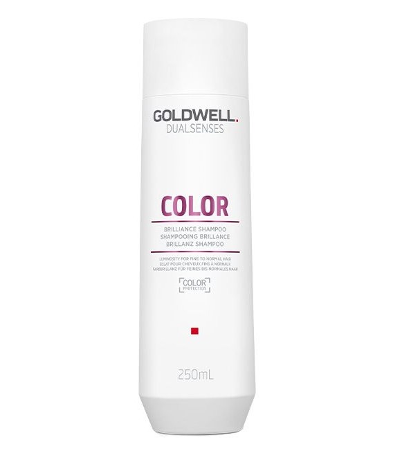 Шампунь для окрашенных волос - Goldwell Dualsenses Color Brilliance Shampoo