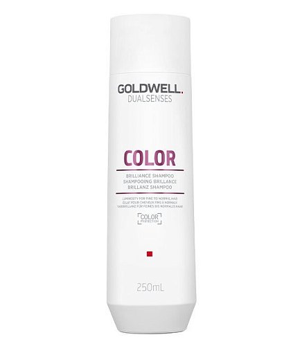 Шампунь для окрашенных волос - Goldwell Dualsenses Color Brilliance Shampoo